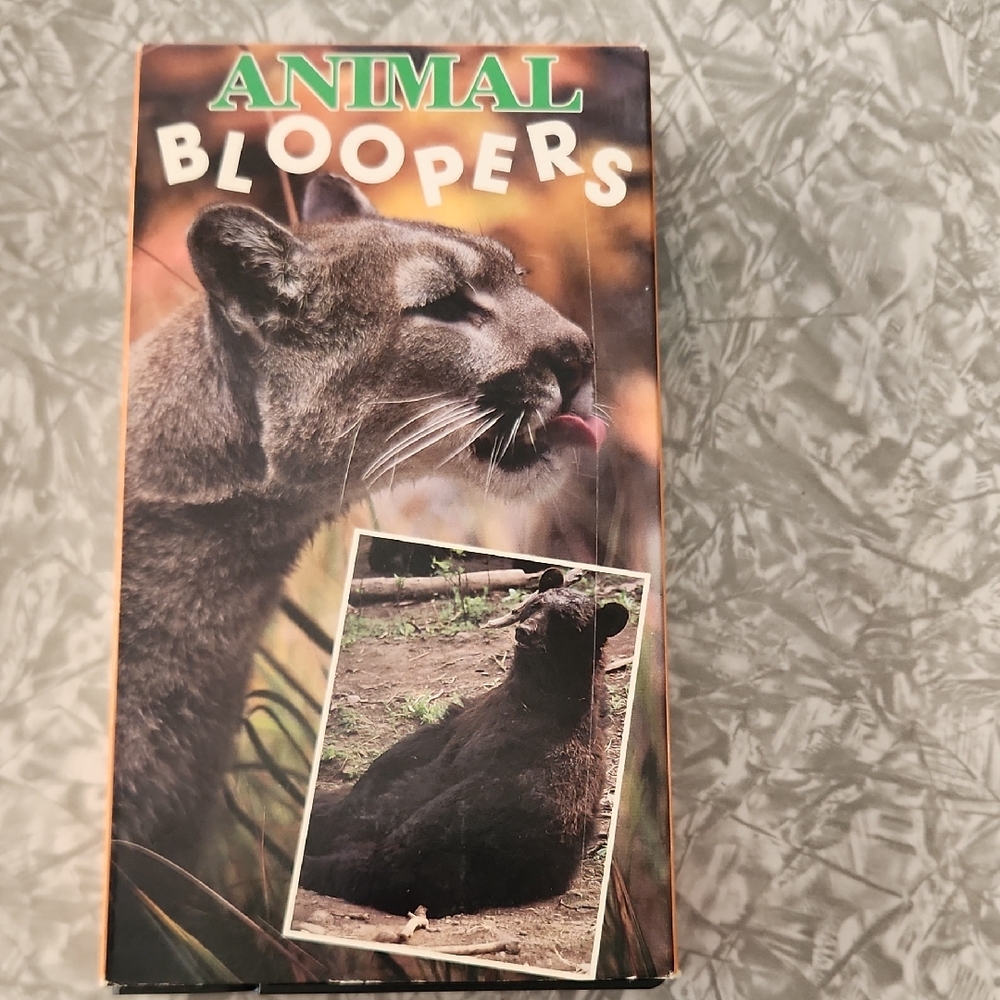Animal Bloopers Wildlife Video - Brown